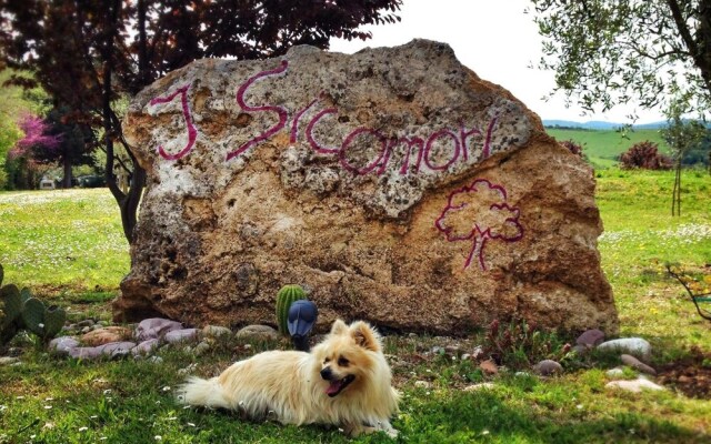 I Sicomori - Seme di Carota - Glamping e appartamenti con piscina a Saturnia