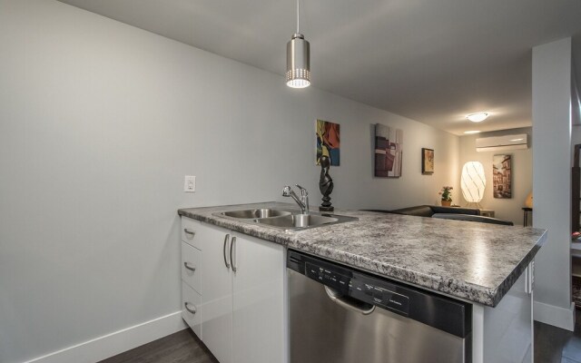 Spacious DAL & Downtown Apartments