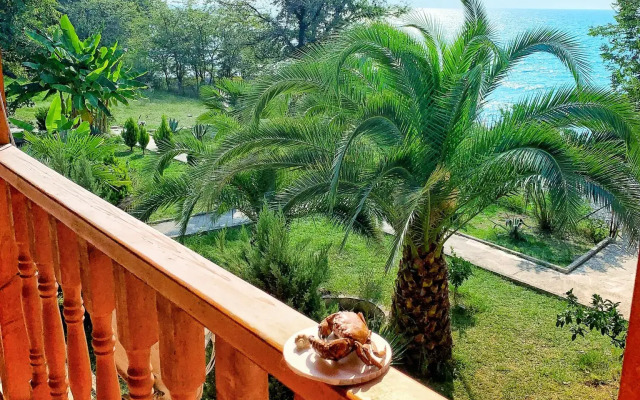 Пансионат Мандарин