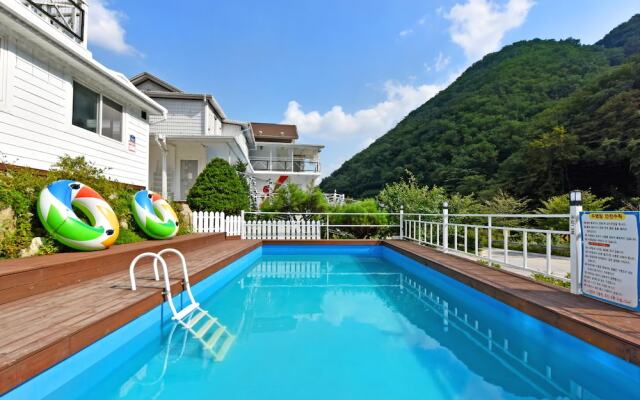 Vivid Pension