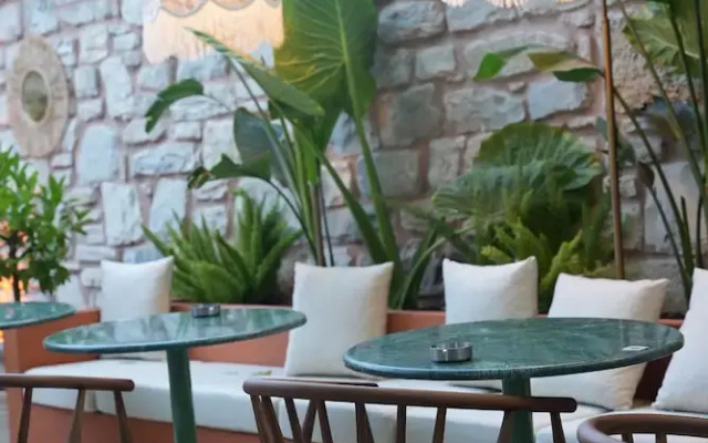Pietra Social House