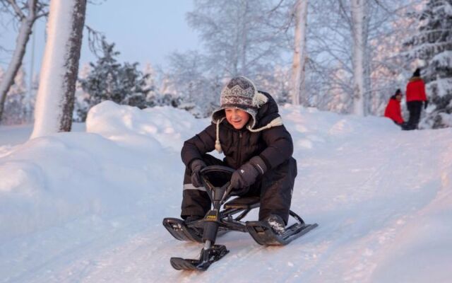 Lystikämän elämys