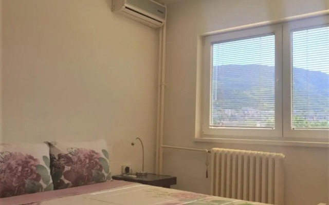 OLE apartment III - in the city center