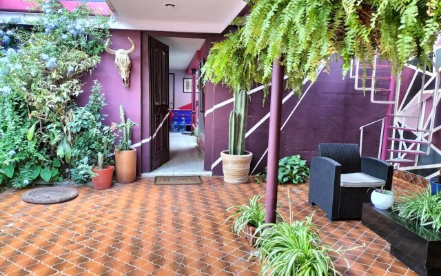Casa Maguey