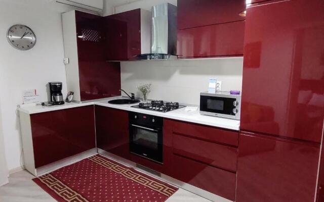 Simona Apartament Palas Mall 1