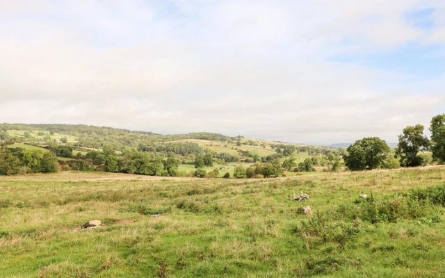 The Dairy