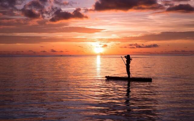 The:MOVES-Musée Villa-