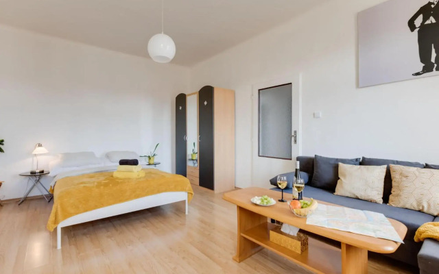 Sunshine Apartment near the City center