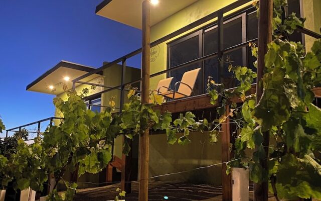 Palta 60 Valle de Guadalupe