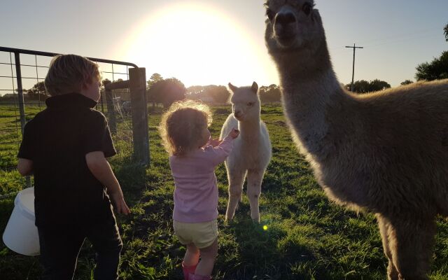 Clonmara Country House & Cottages
