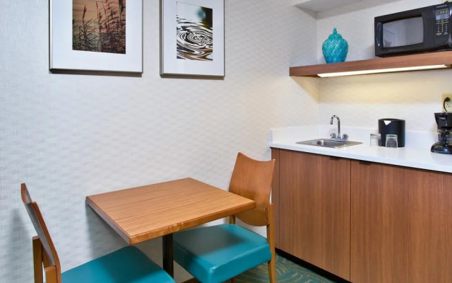 SpringHill Suites by Marriott Chicago Southwest at Burr Ridge/Hinsdale