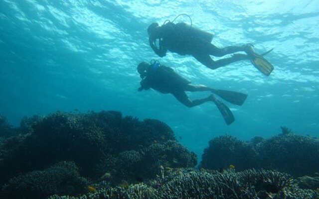 Dive Thru Scuba Resort