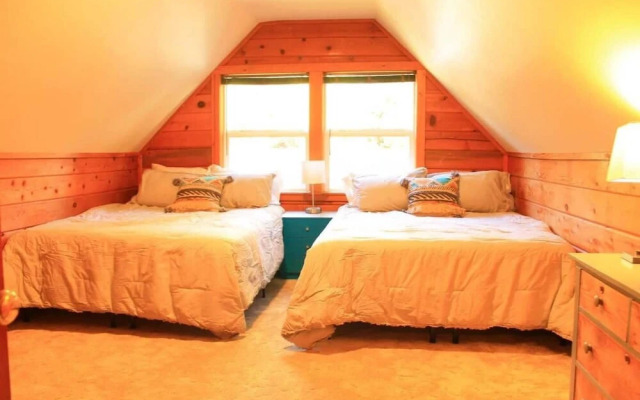 Fox St Criterion 54 - Aster