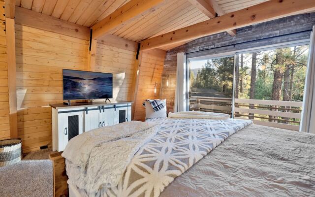 Fox & Bears Retreat#2190