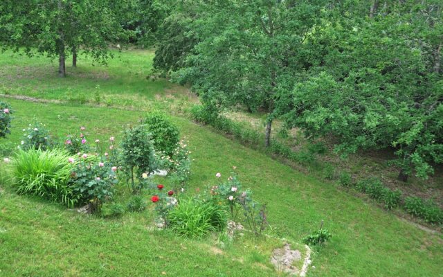 Room-paradise is Real at Vale Martinho Z