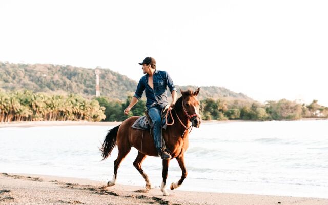 Star Mountain Jungle Lodge