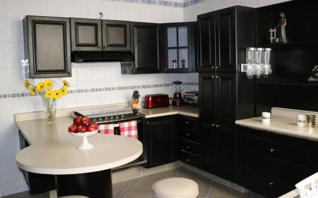 Luxurious & Chic 2 BR Apt Polanquito Lincon Park