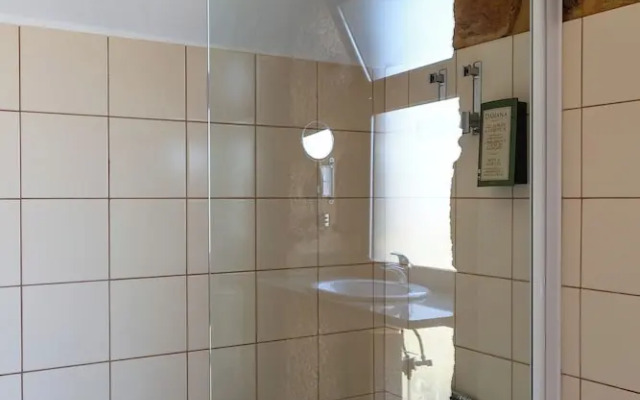 Raízes da Vinha - by Matias Nature