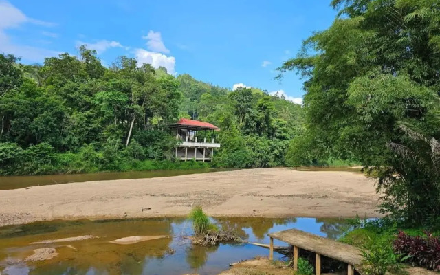 Riverside Palm Inn Sg Lembing