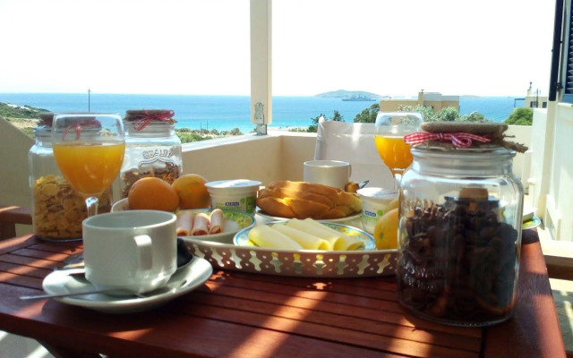 Andros Luxury House