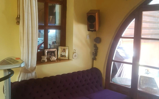 Sylvias Antique House