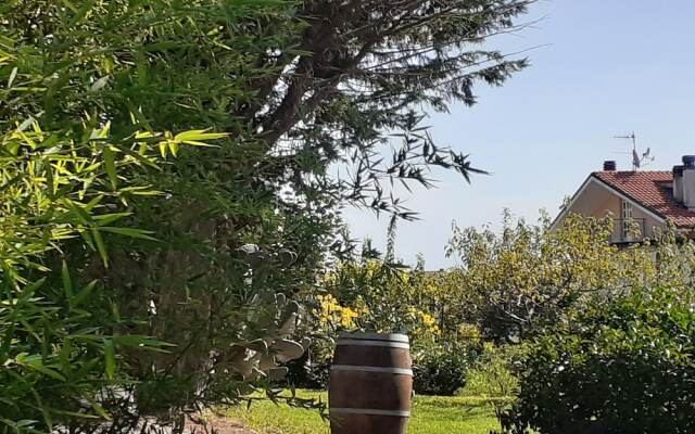 Pier delle Vigne B&B