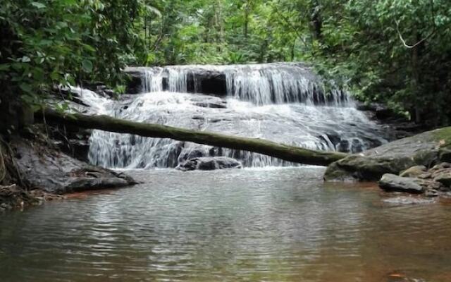 La Ceiba Ecoadventures