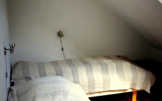 Stutteri Skandi Hest