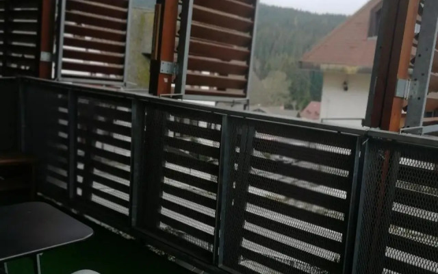 Rodinný Apartmán Harrachov 606