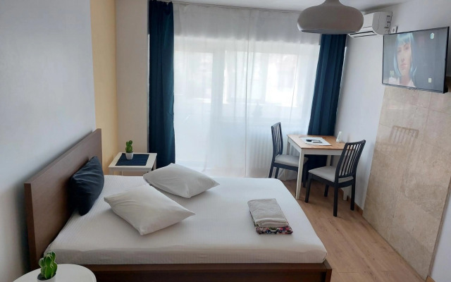 Piata Victoriei Arcul de Triumf Studio Apartment