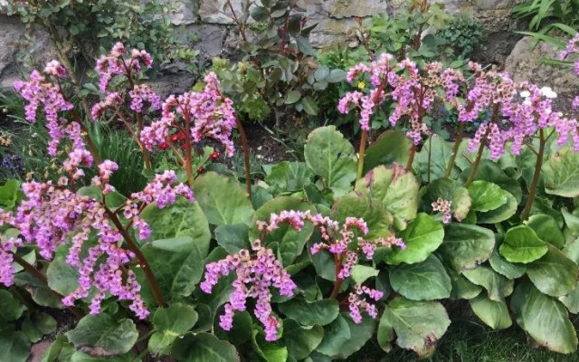 Hotel-Pension Am Kirschberg