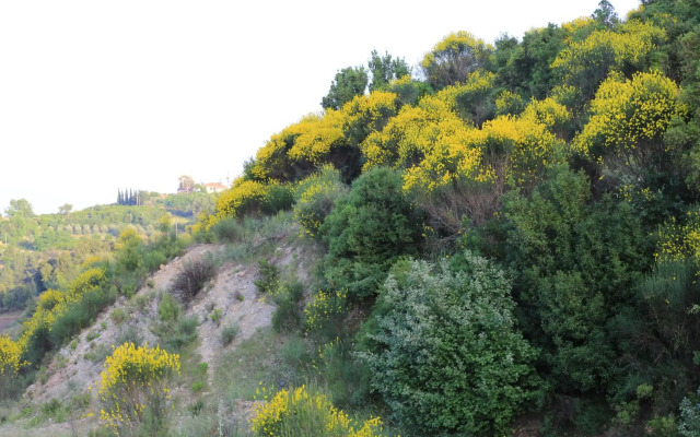 Yonca Butik Hotel