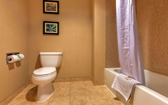 Comfort Suites Goodyear - West Phoenix