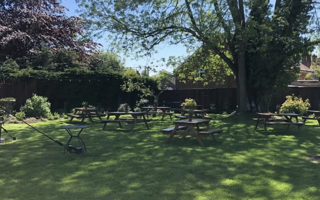 The Honingham Buck