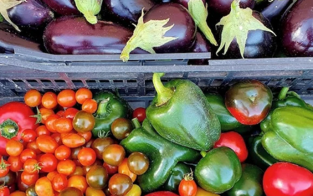 Residenza Villa Genua