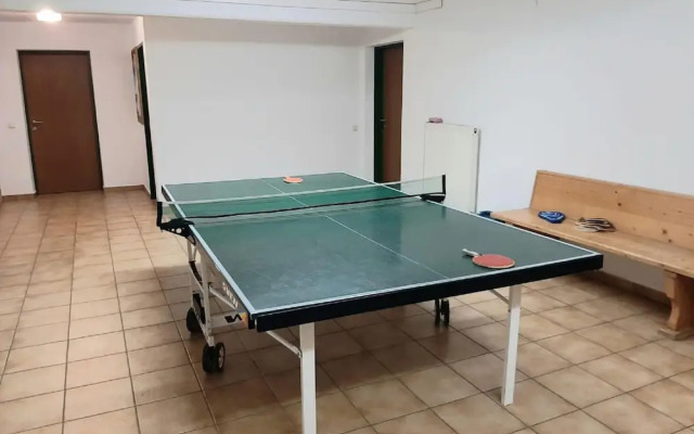 Family-friendly Apartment in Radstadt With Sauna