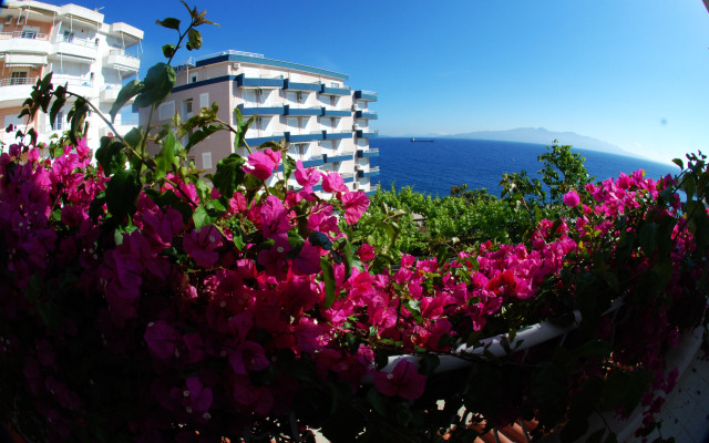 Hotel Vila Alvin & Apartments