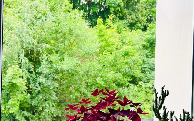 Comfy classic apartment in Trakai