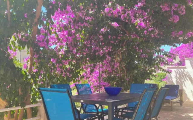 Vacation house Benedetto