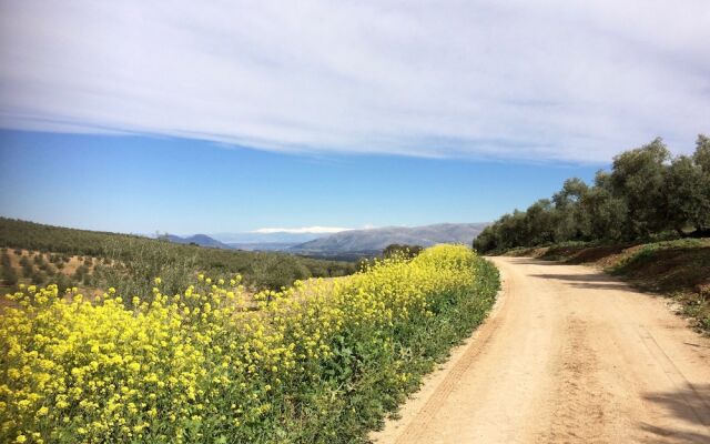 Valle de Oro