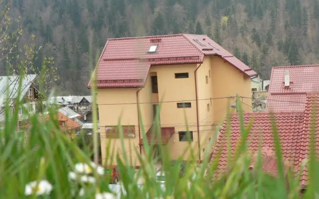 Flora Alpina