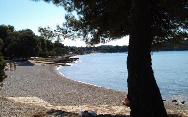 STUDIO Green Garden Borik