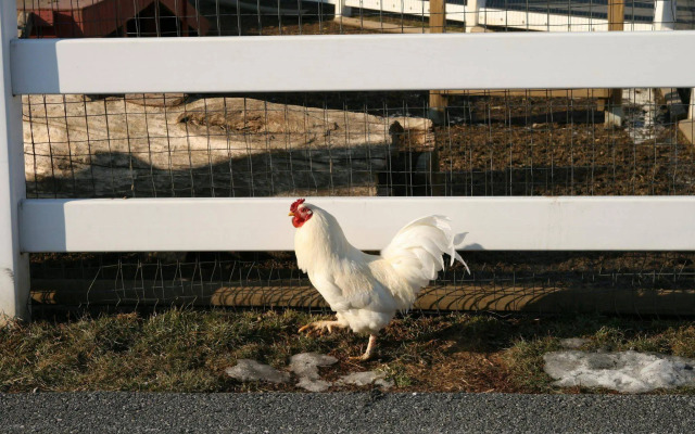 Hampton Inn & Suites Ephrata - Mountain Springs