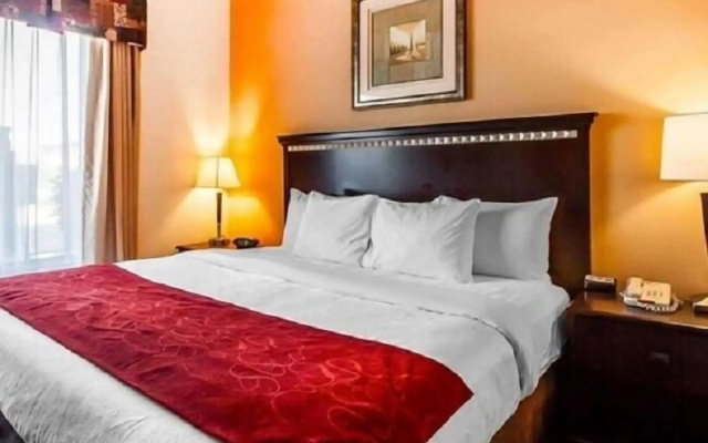 Comfort Suites Jackson-Cape Girardeau