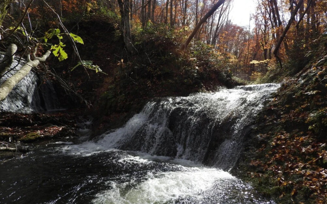 Mori no Bunko Fuzawa