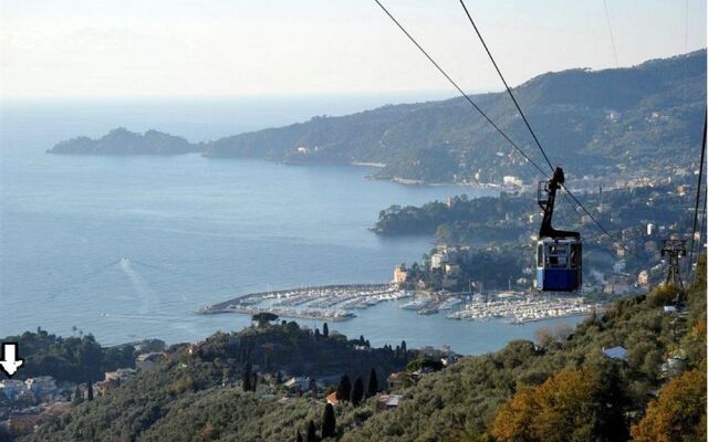 Rapallo Mare 1