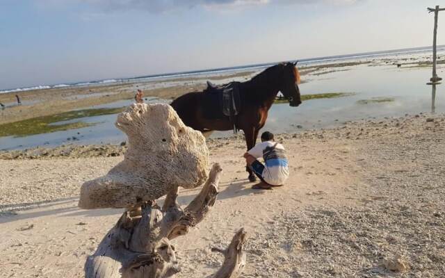 Sama - Sama Bungalow