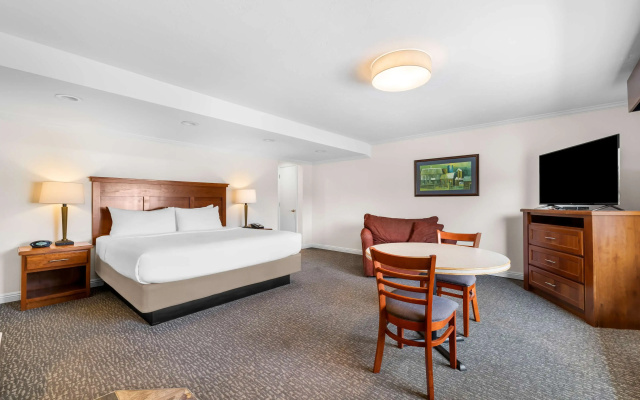 Best Western Driftwood Inn