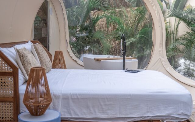 Satori The Bubble Experience Lodge