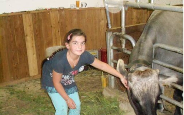 Bauernhof Honzar Hof